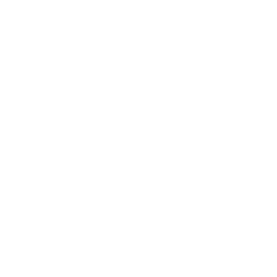 Shirley Library