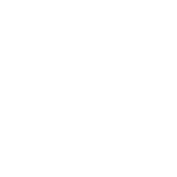 Shoe Zone